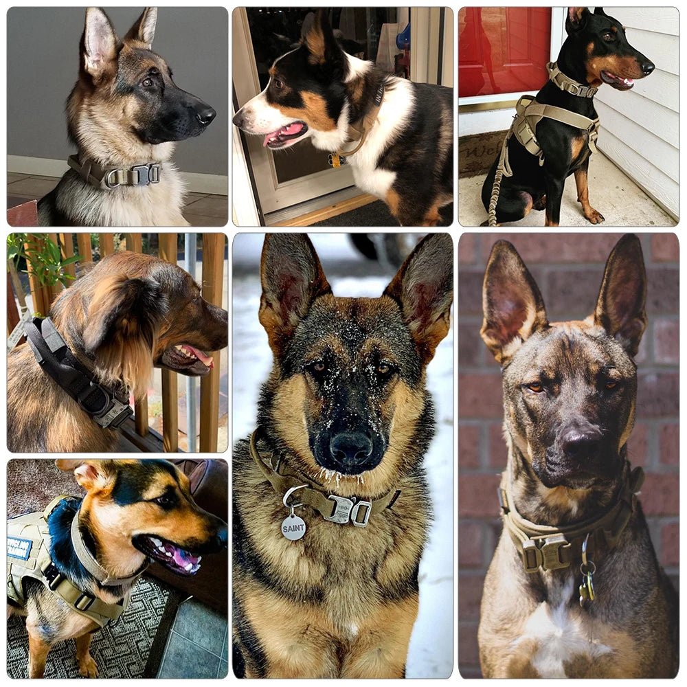 Dog Training Tactical Adjustable Collar And Leash