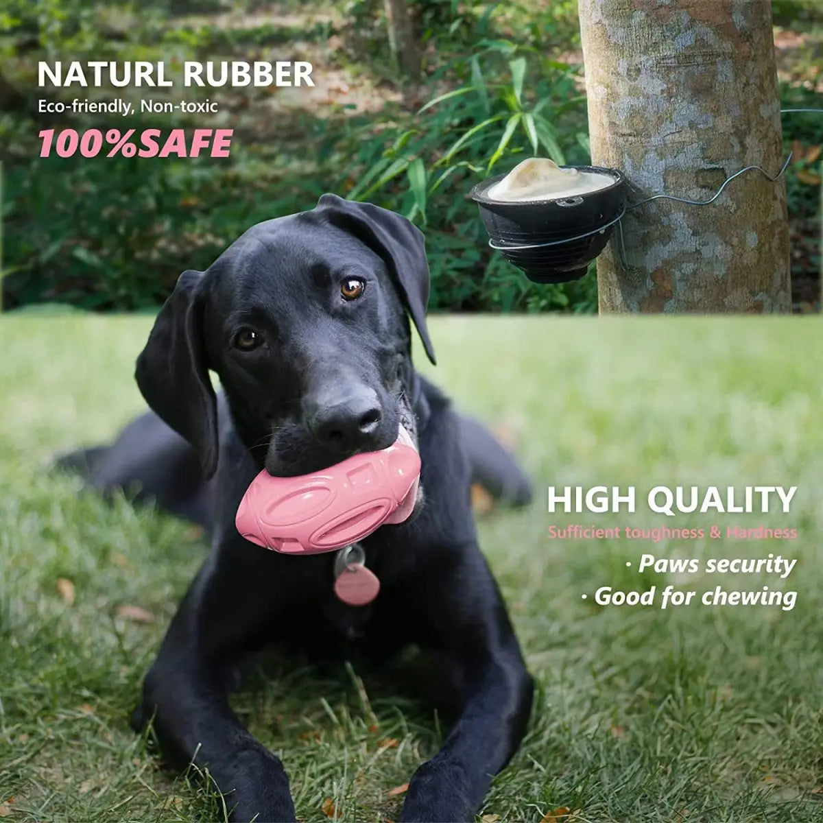 Engaging And Durable Premium Dog Chew Toy