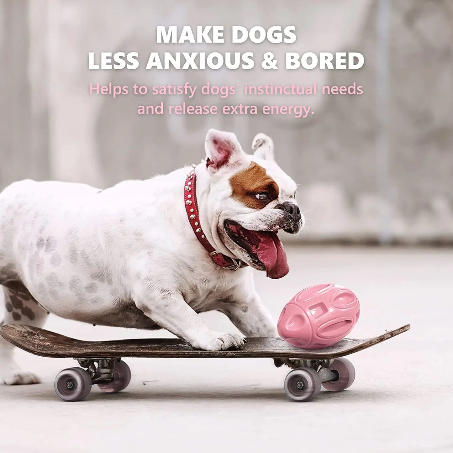 Engaging And Durable Premium Dog Chew Toy
