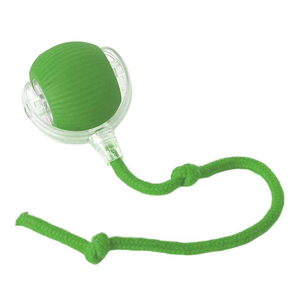 Cat Interactive Rotating Rolling Automatic Ball Rechargeable