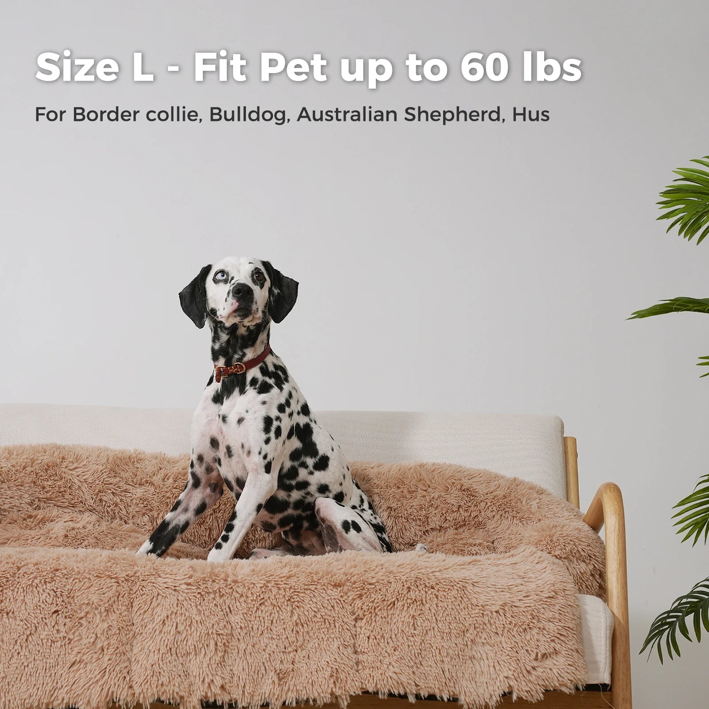 Pet Sofa Bed For Dogs and Cats