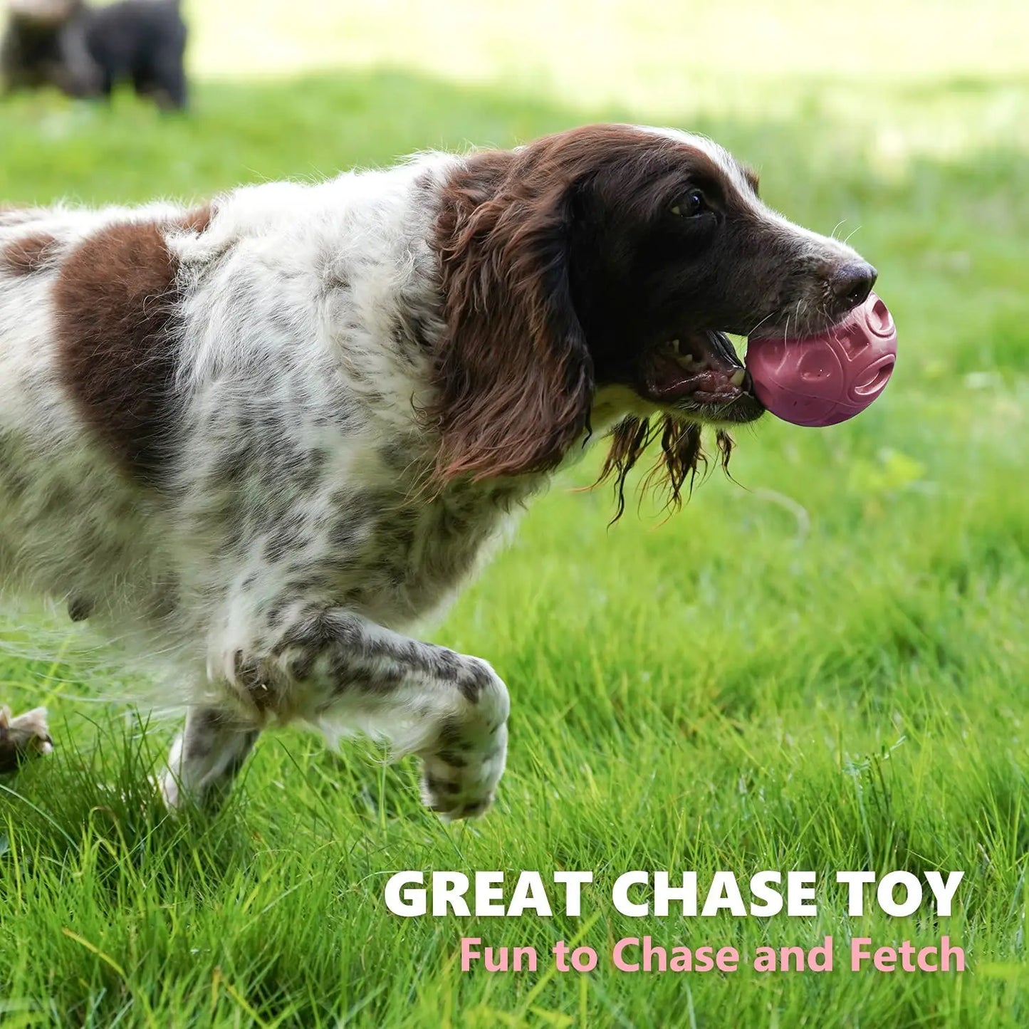 Engaging And Durable Premium Dog Chew Toy