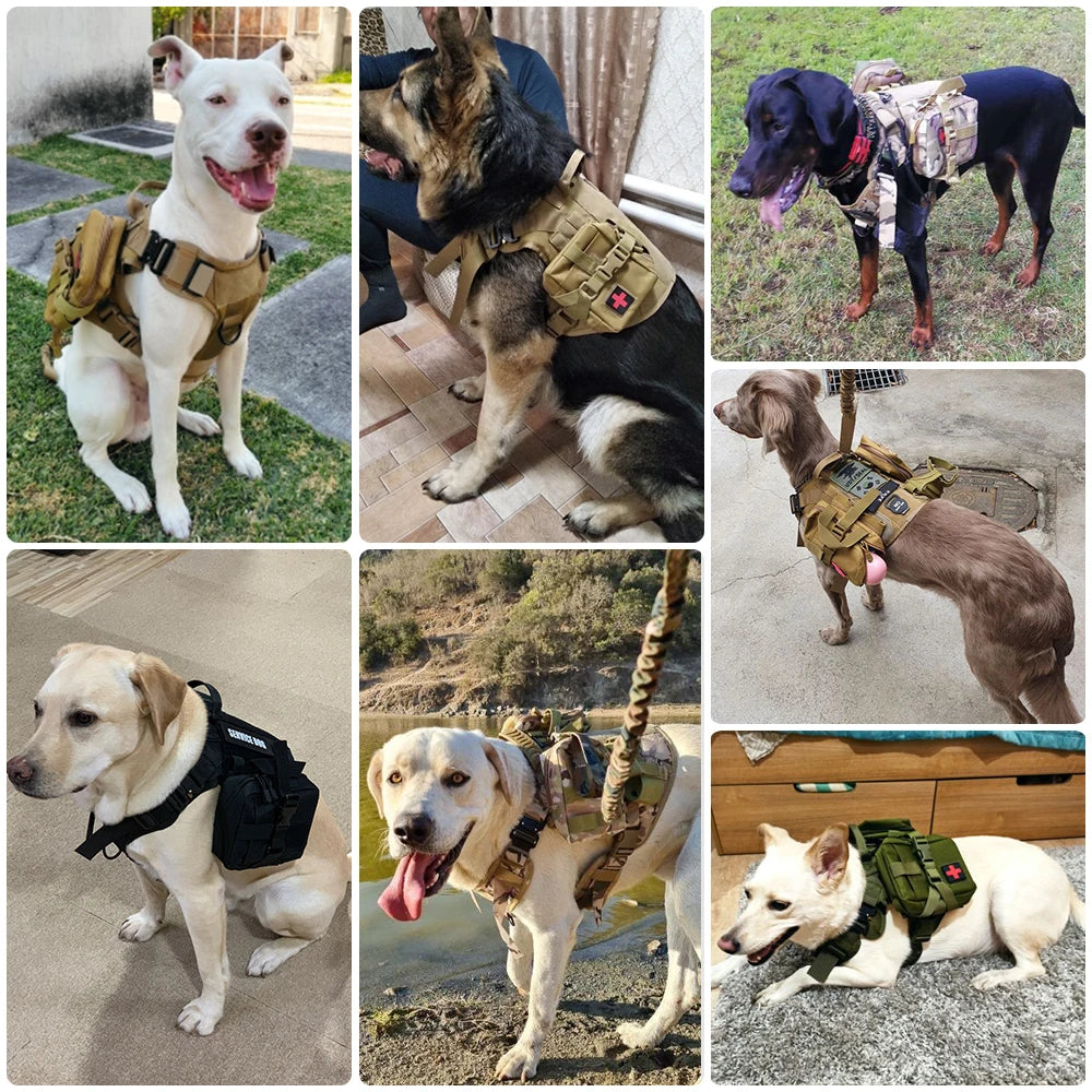 Dog Harness Collar Military Dog Tactical Training