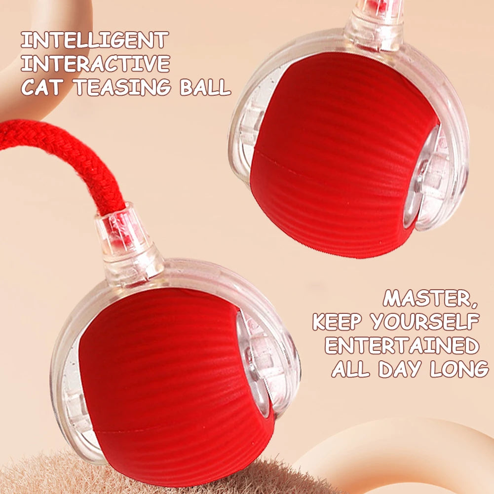 Cat Interactive Rotating Rolling Automatic Ball Rechargeable
