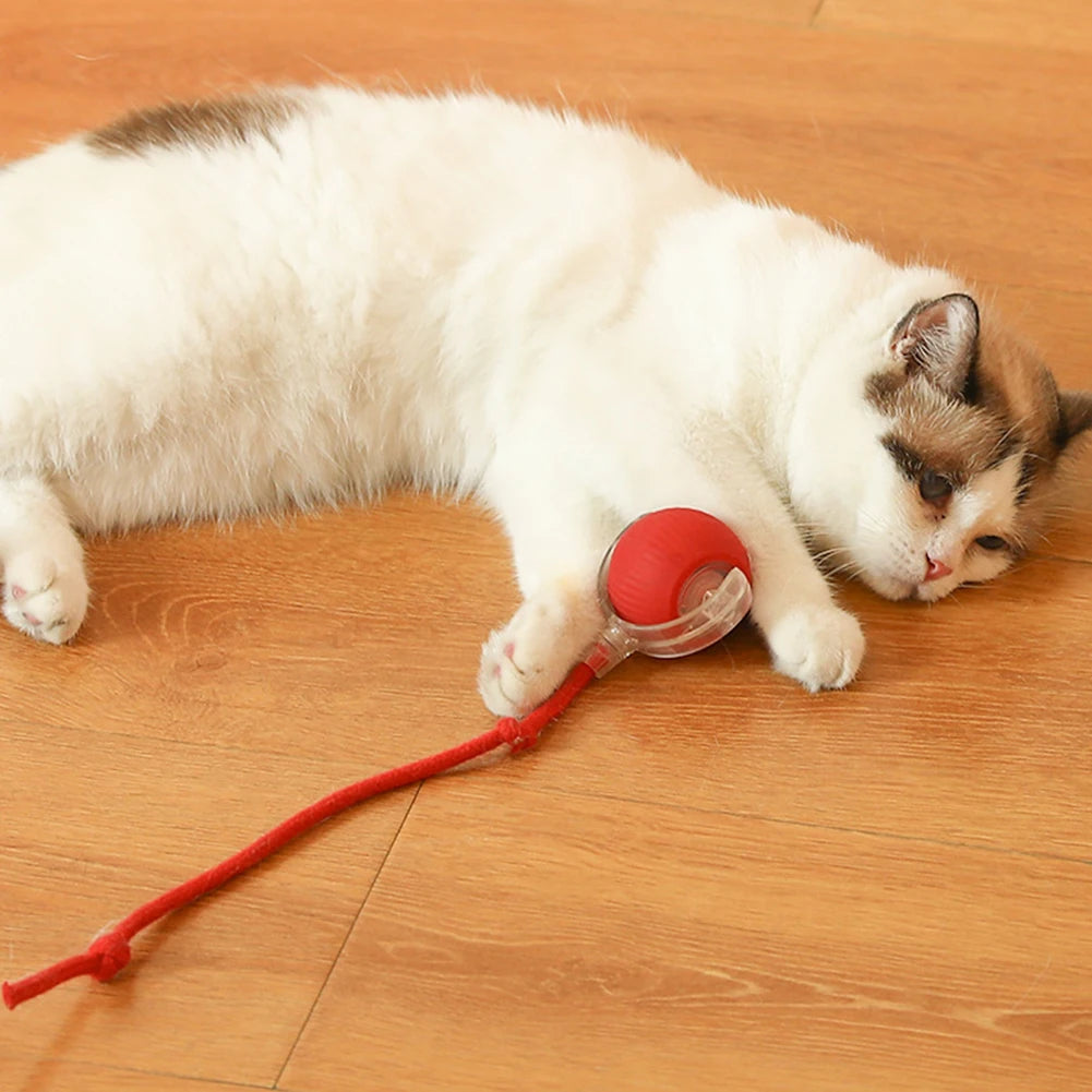 Cat Interactive Rotating Rolling Automatic Ball Rechargeable