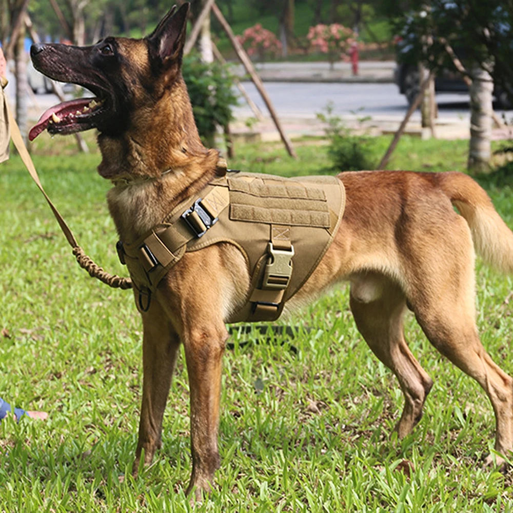 Dog Harness Leash Set Training Walking Vest