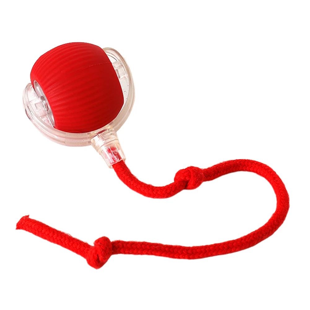 Cat Interactive Rotating Rolling Automatic Ball Rechargeable