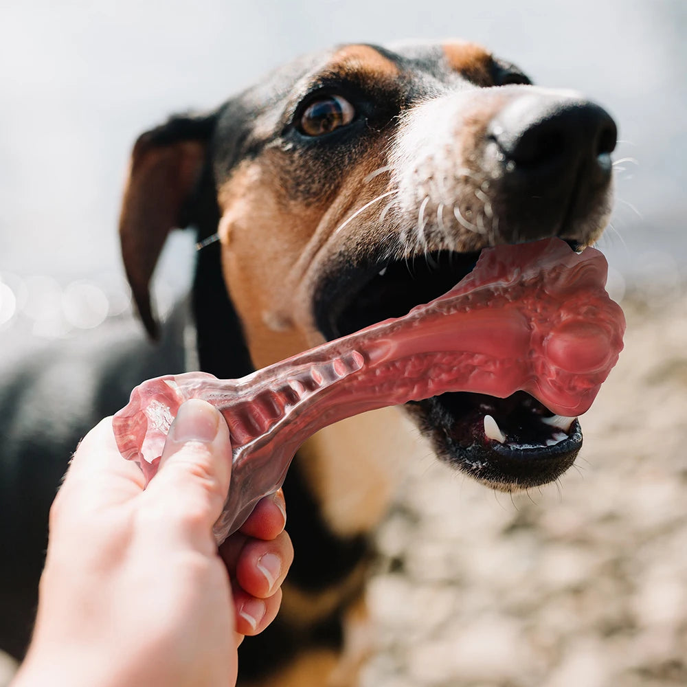 Dog Toys Aggressive Chewers Bone-Shaped Interactive