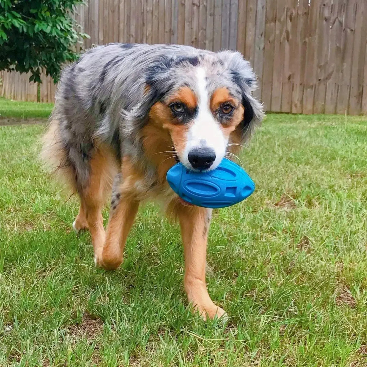 Engaging And Durable Premium Dog Chew Toy