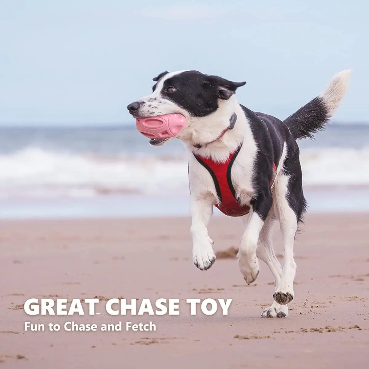 Engaging And Durable Premium Dog Chew Toy