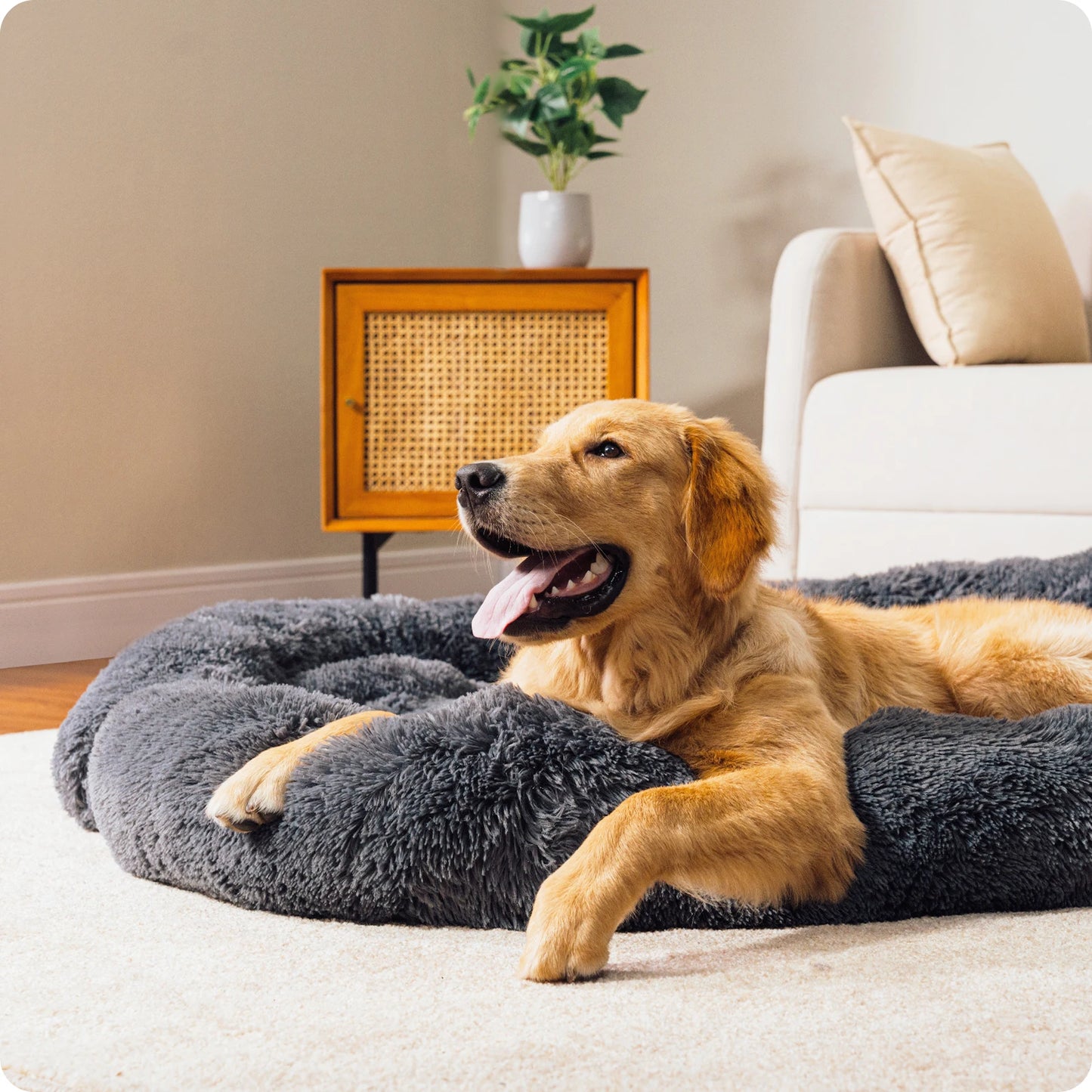 Pet Sofa Bed For Dogs and Cats