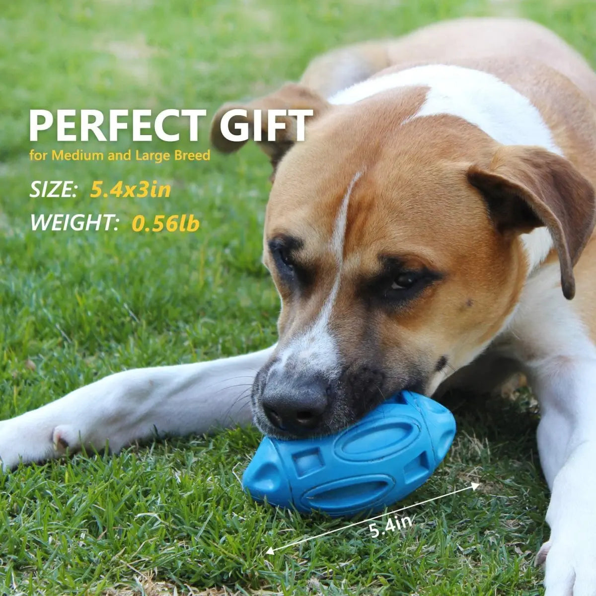 Engaging And Durable Premium Dog Chew Toy