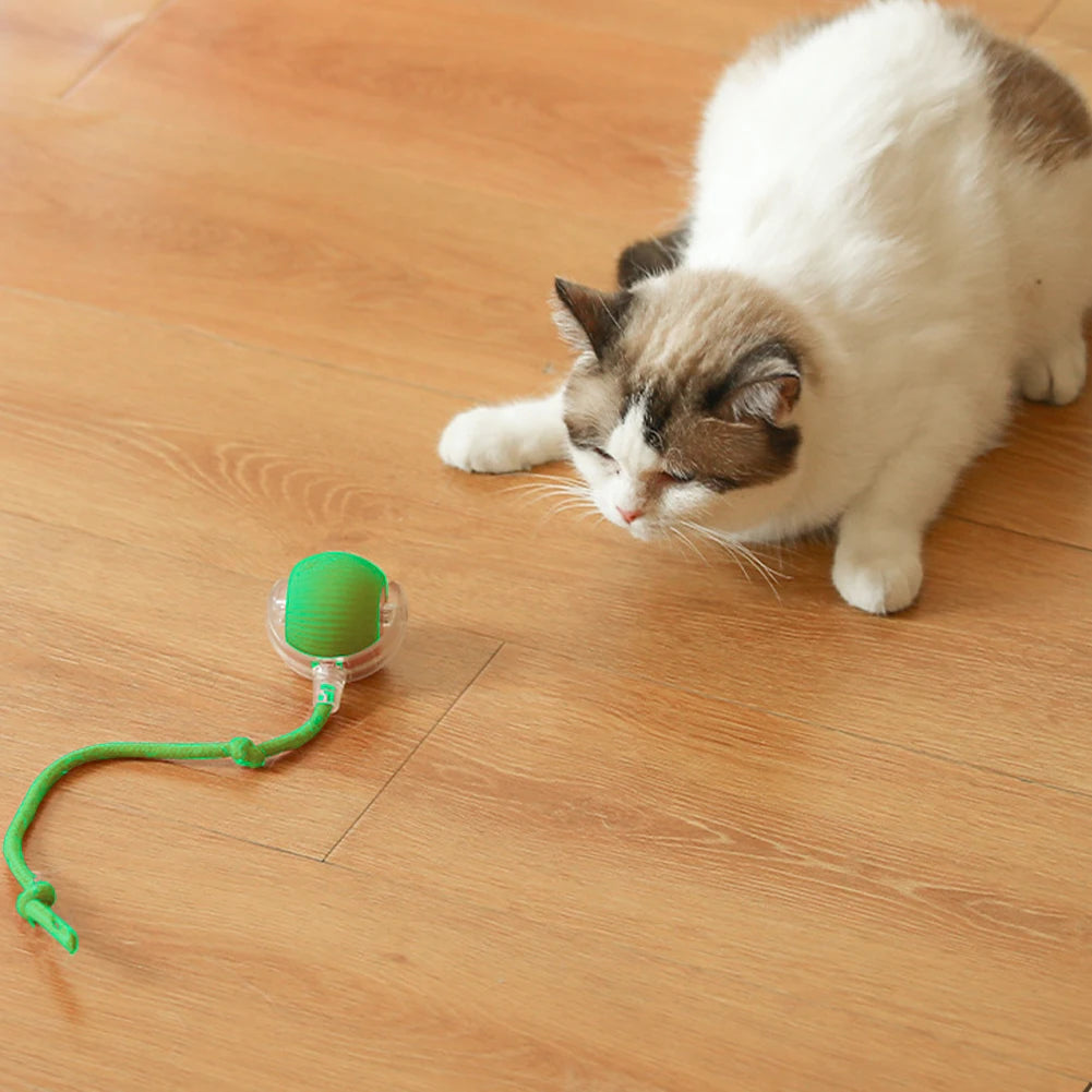 Cat Interactive Rotating Rolling Automatic Ball Rechargeable