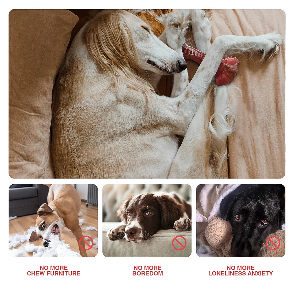 Dog Toys Aggressive Chewers Bone-Shaped Interactive