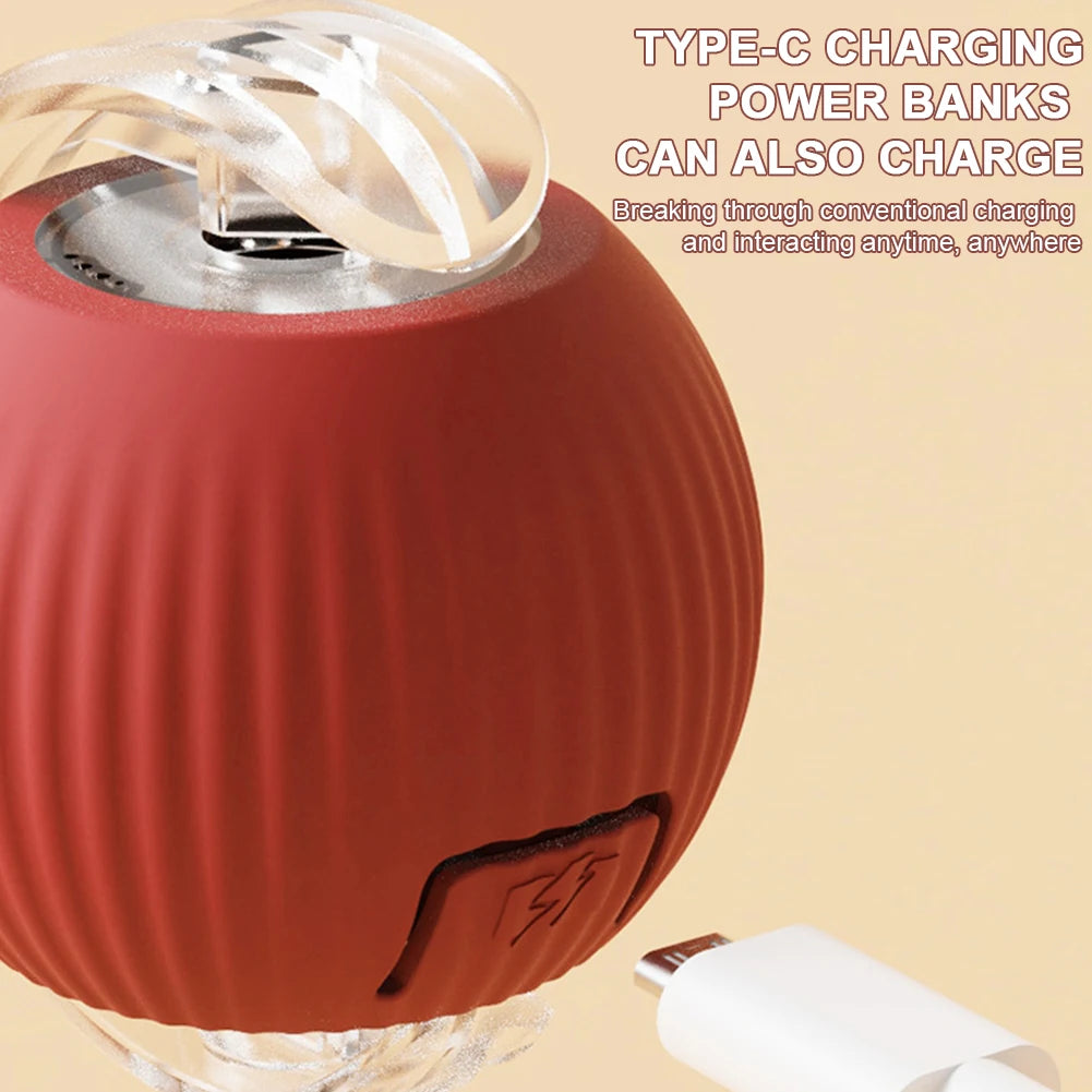 Cat Interactive Rotating Rolling Automatic Ball Rechargeable