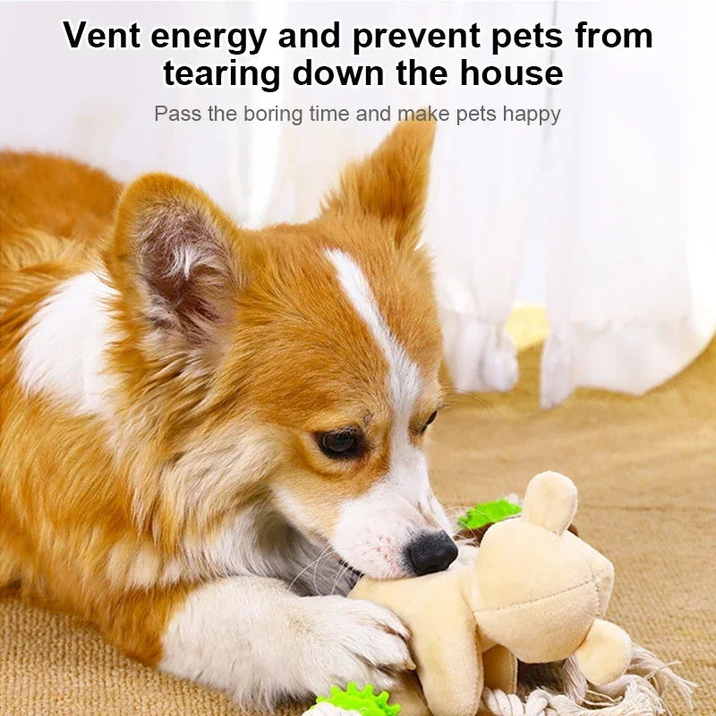 Plush Cotton Rope Squeaky Interative Toys