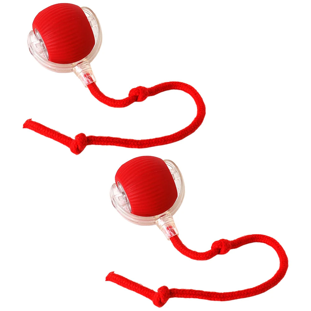 Cat Interactive Rotating Rolling Automatic Ball Rechargeable
