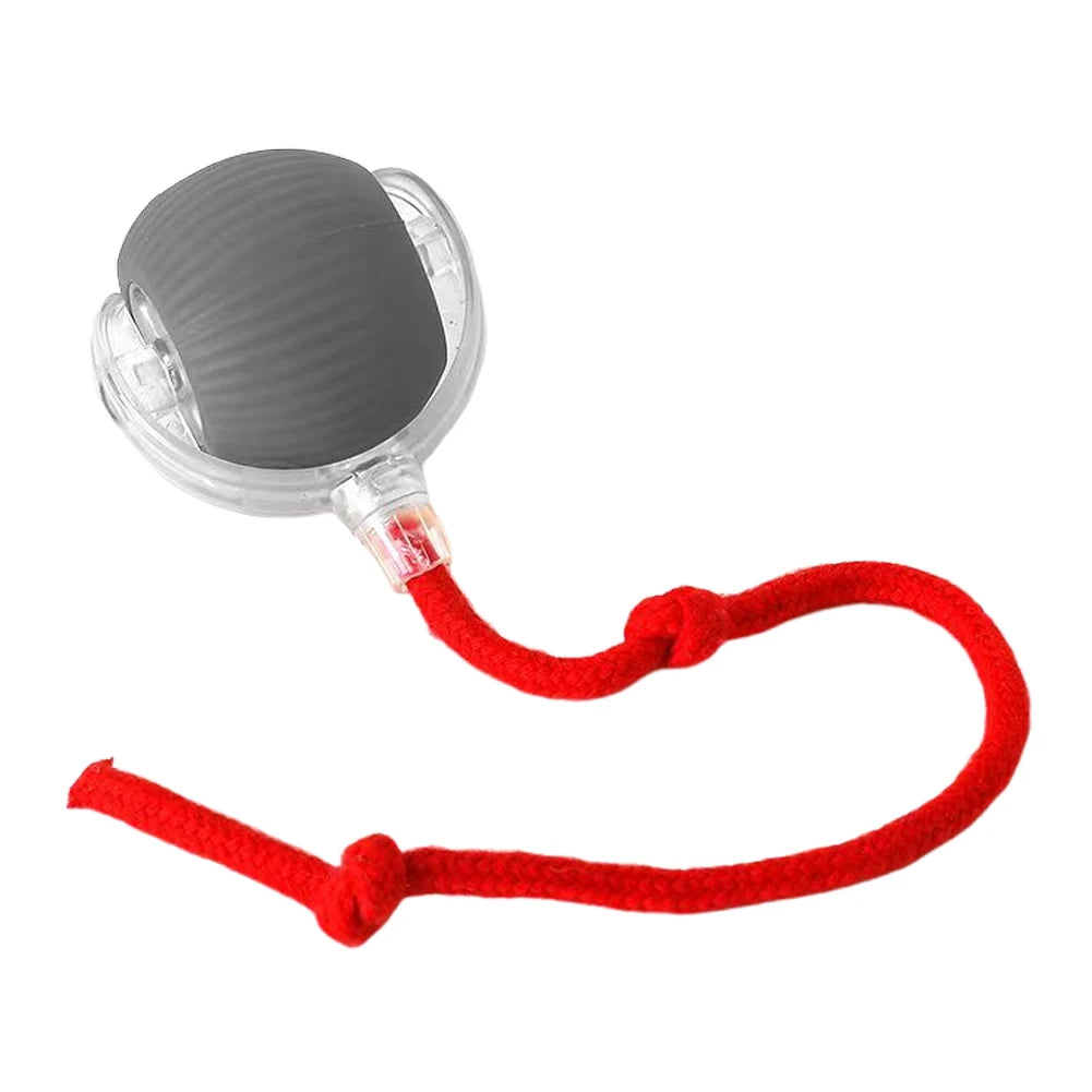 Cat Interactive Rotating Rolling Automatic Ball Rechargeable