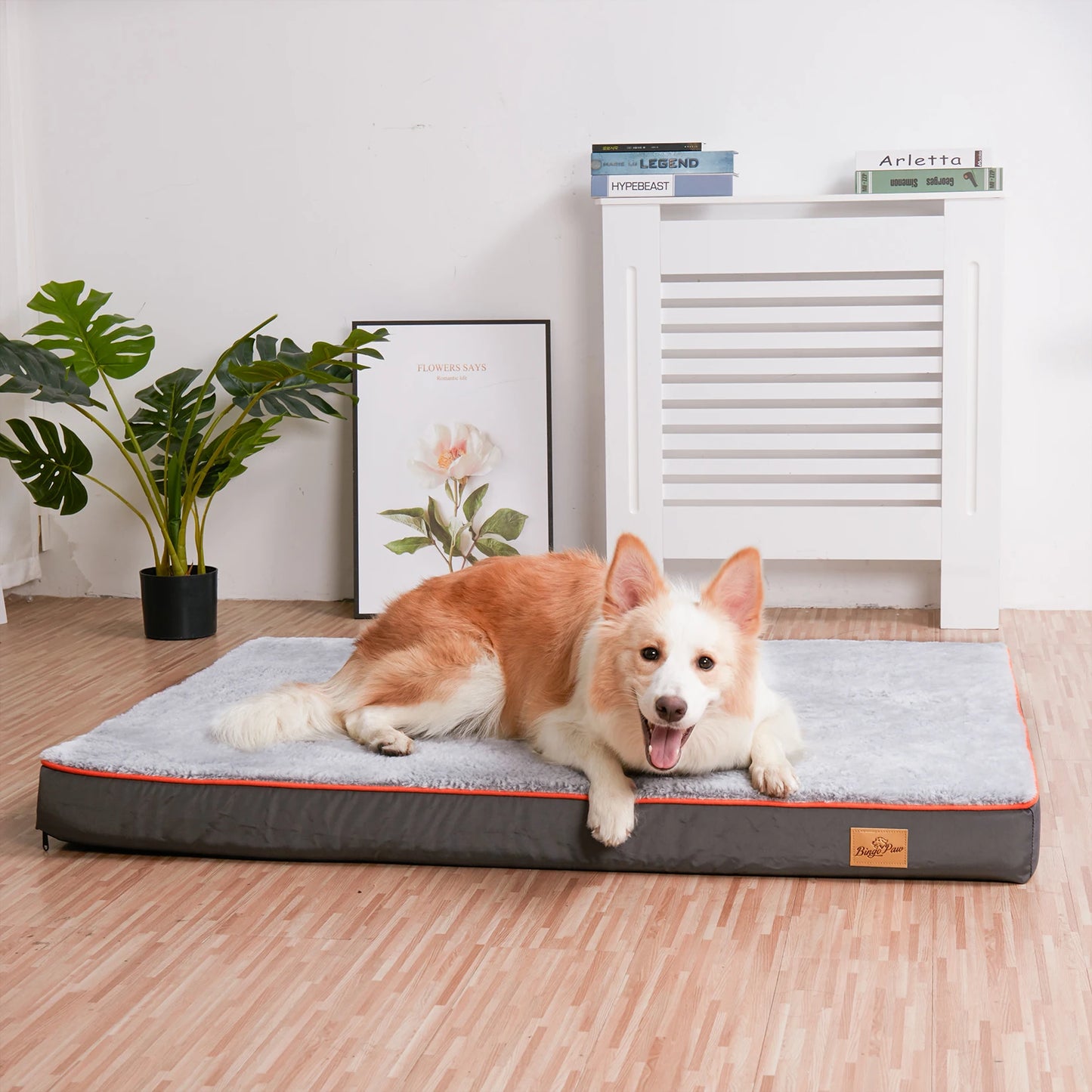 Orthopedic Dog Bed Memory Foam Waterproof