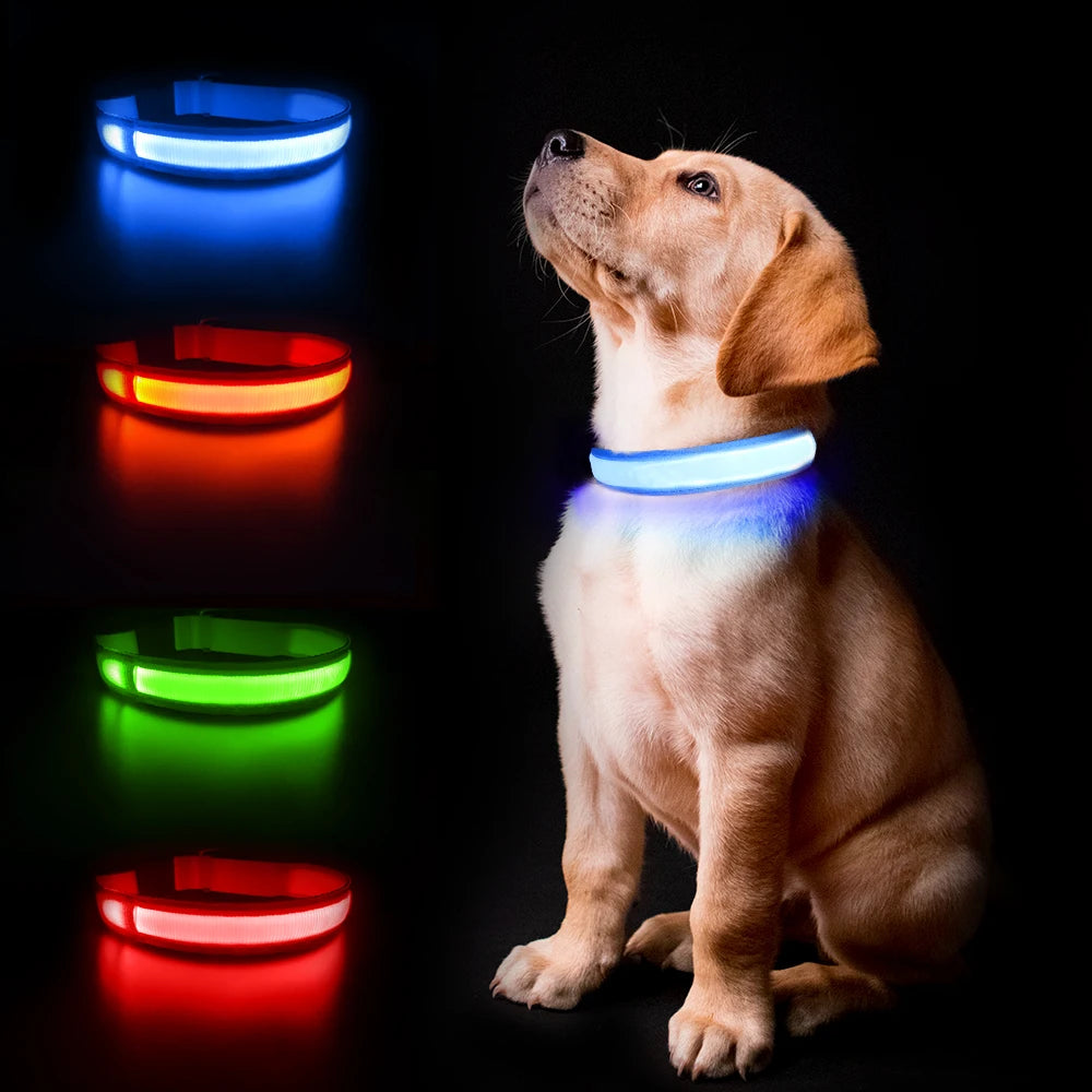 Luminous Dog Collar Waterproof