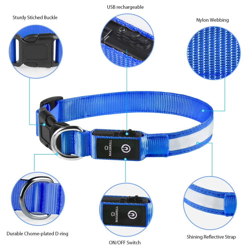 Luminous Dog Collar Waterproof