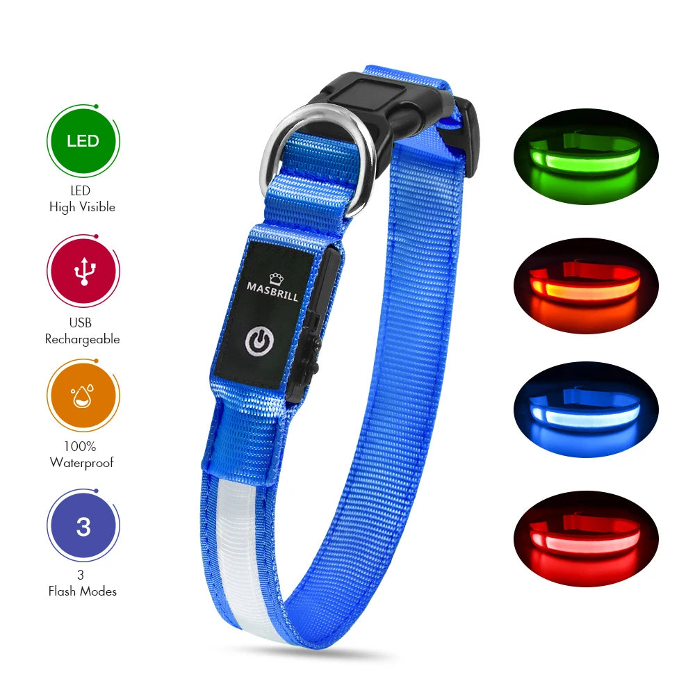 Luminous Dog Collar Waterproof