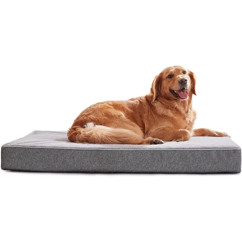 Orthopedic Memory Foam Dog Bed