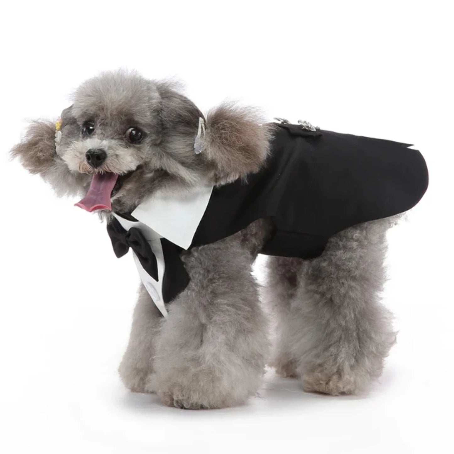 Pet Formal Tuxedo Apparel For Special Occasions