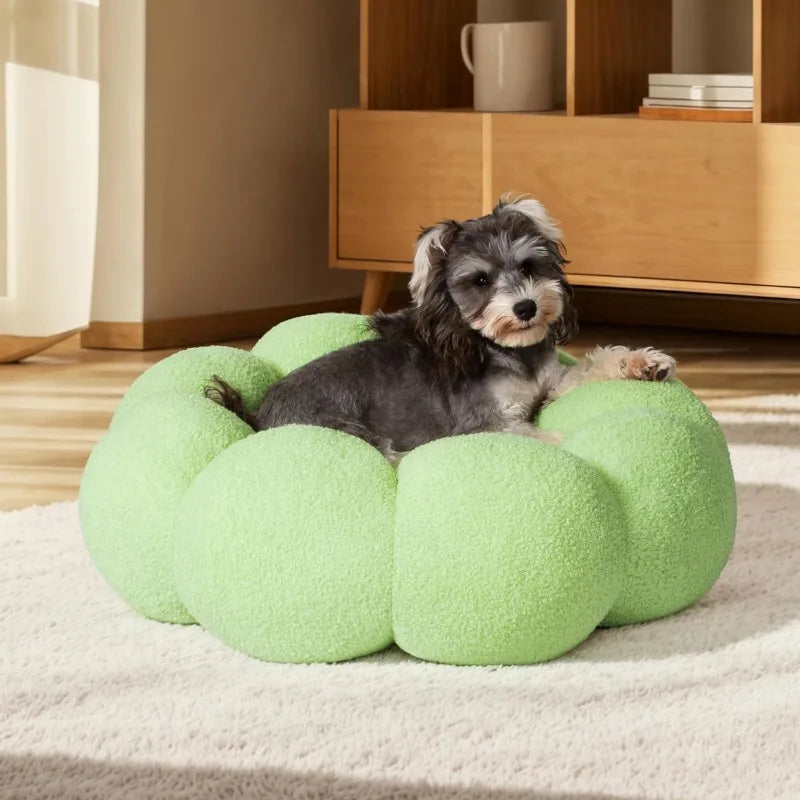 Calming Dog Beds For Cats And Dogs