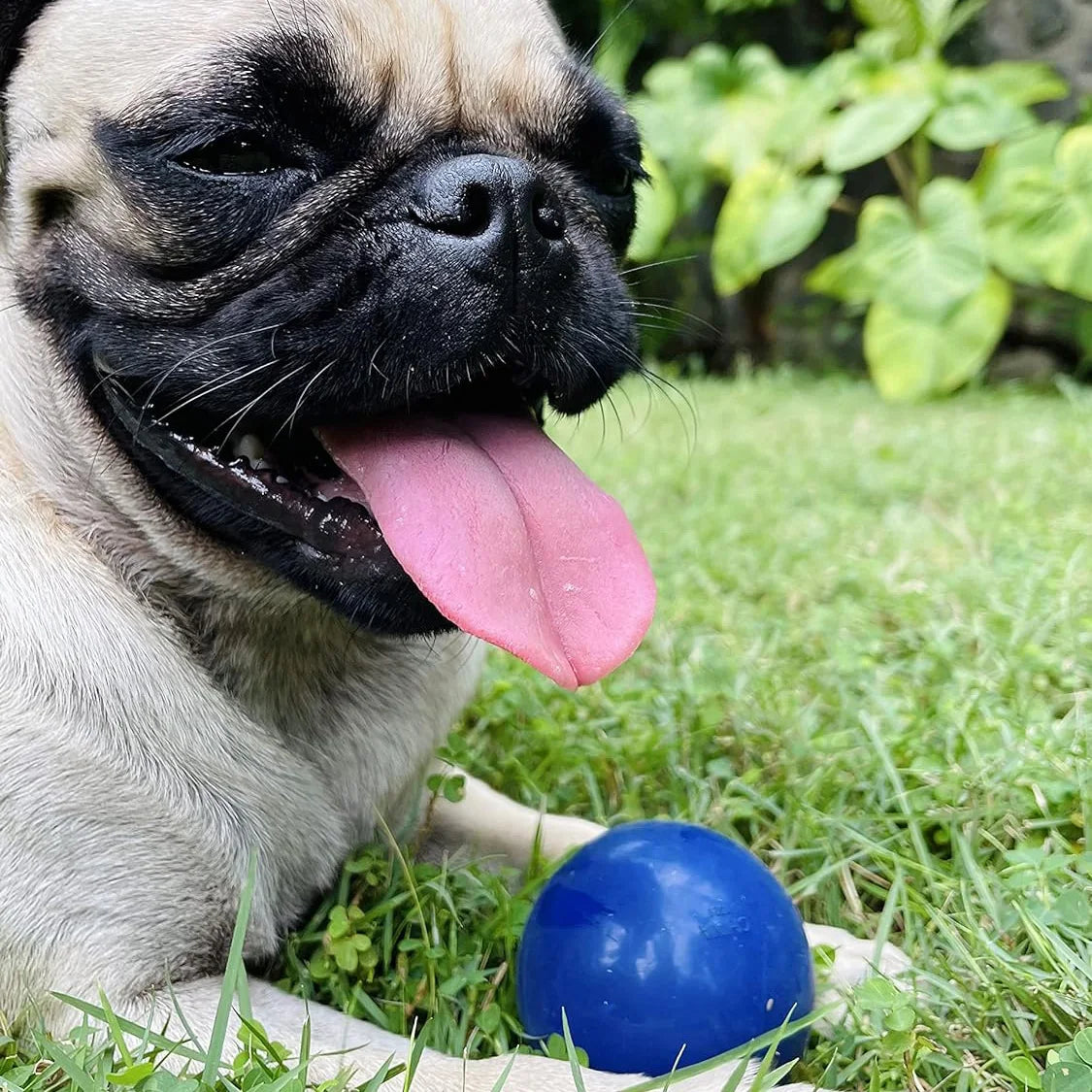 Super Chewy Tough Dog Ball Natural Rubber