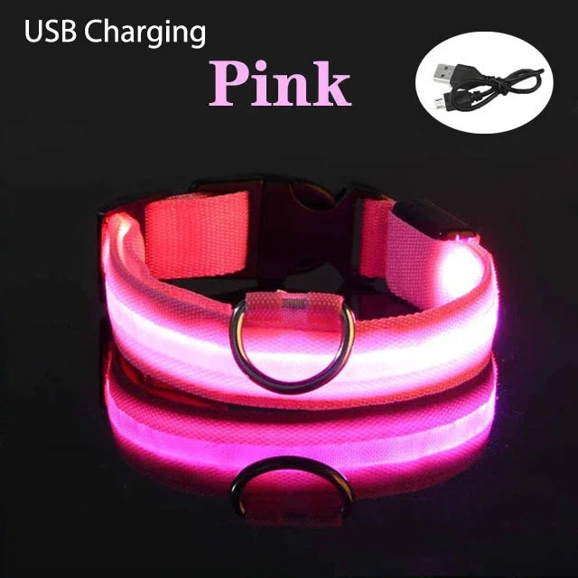 Dog Collar Light Up LED Collar Rechargeable