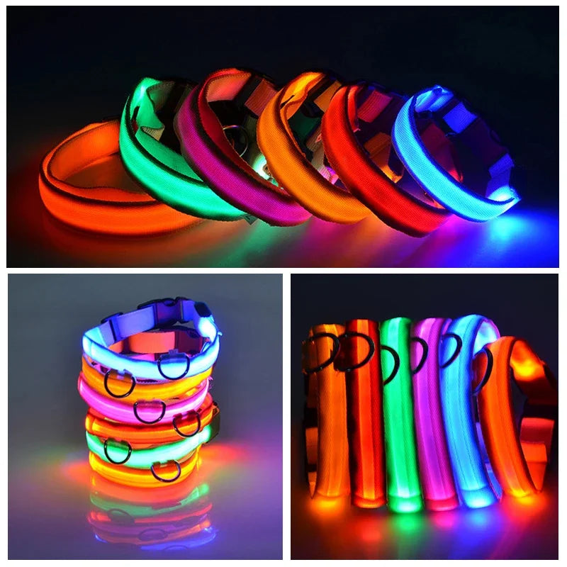 Dog Collar Light Up LED Collar Rechargeable