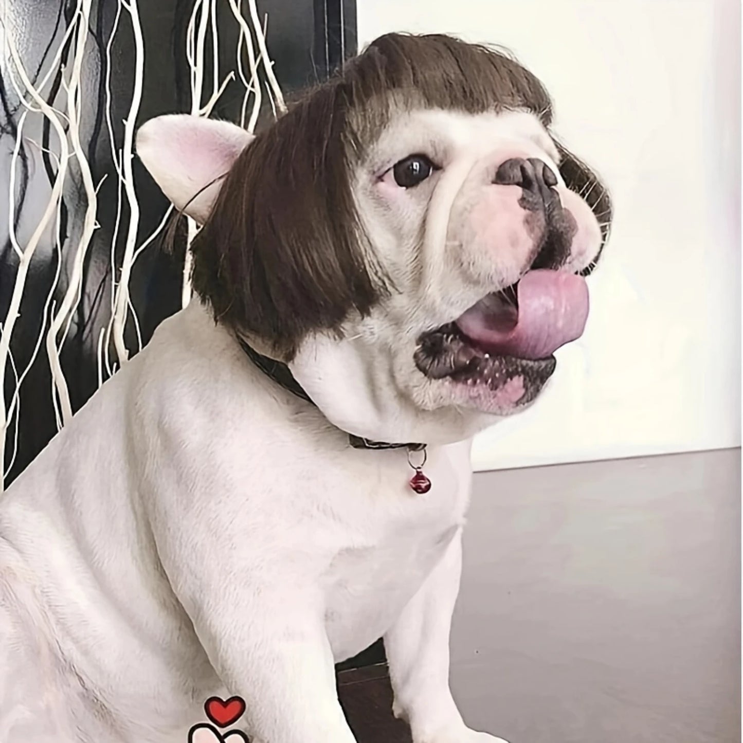 Pet Wigs For Cats And Dogs