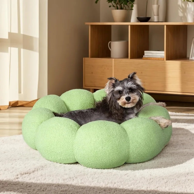 Calming Dog Beds For Cats And Dogs