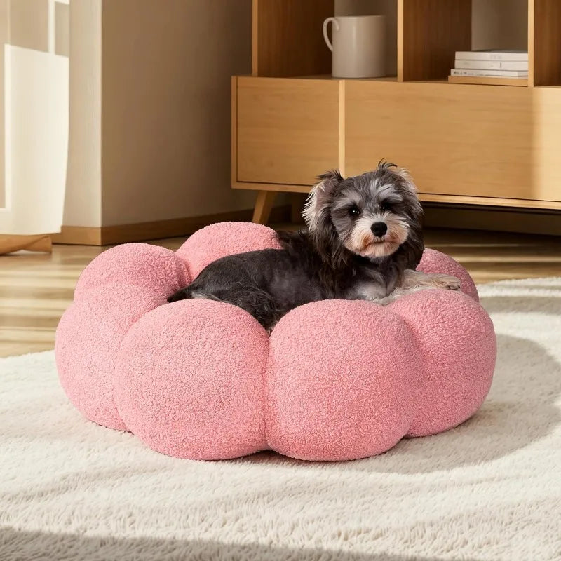 Calming Dog Beds For Cats And Dogs