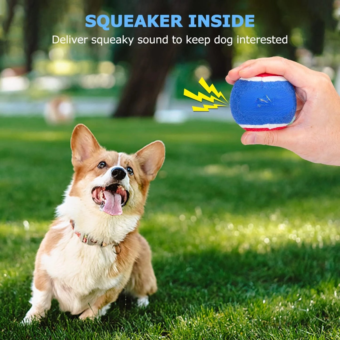 Dog High Quality Interactive Squeaky Tennis Balls