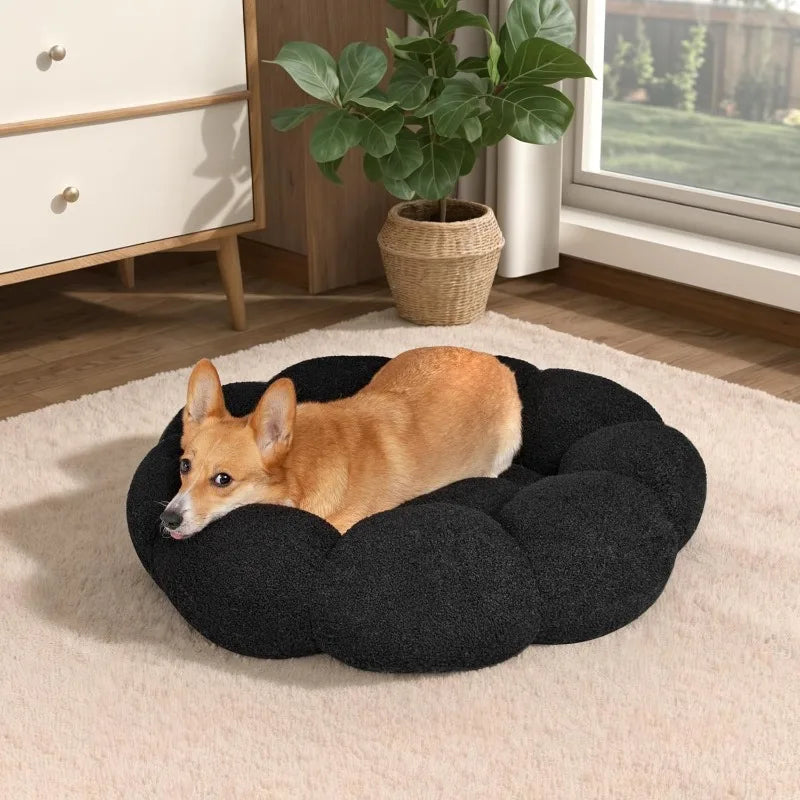 Calming Dog Beds For Cats And Dogs