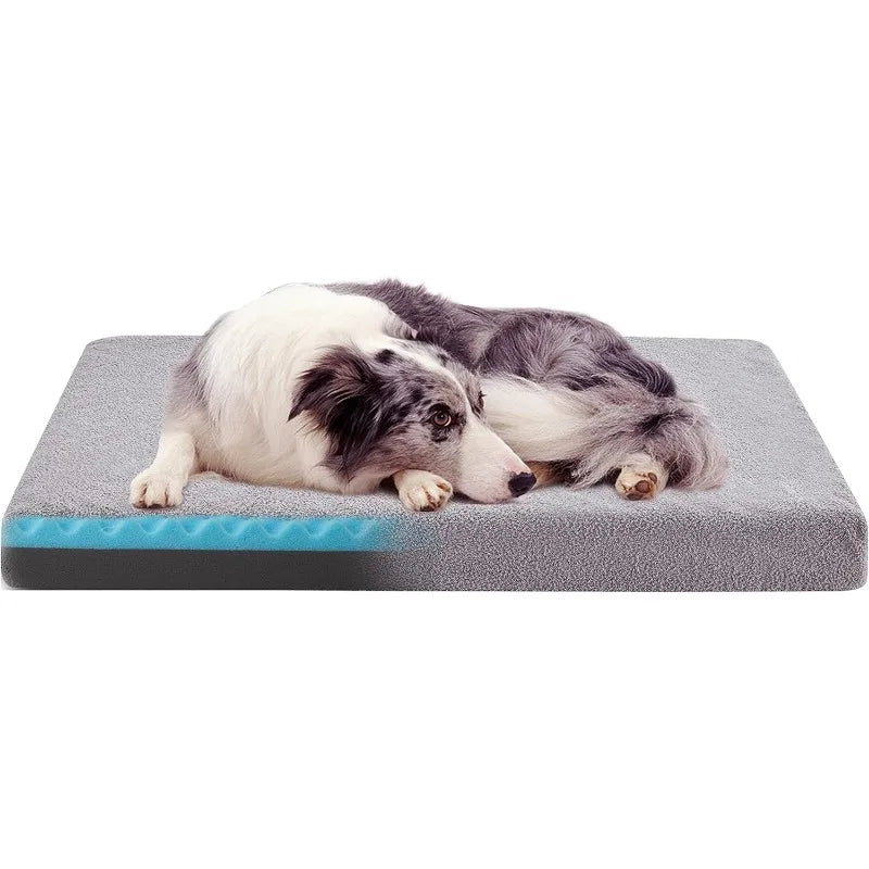 Orthopedic Memory Foam Dog Bed