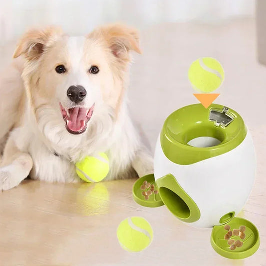 Tennis Food Reward Machine Interactive Ball Launcher