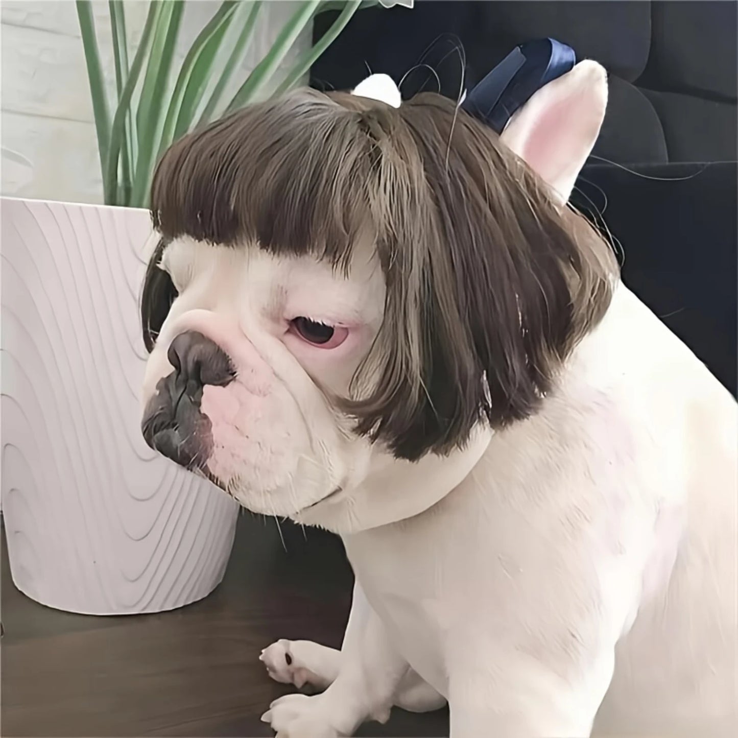 Pet Wigs For Cats And Dogs