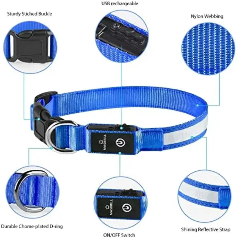 Dog Collar Light Up LED Collar Rechargeable