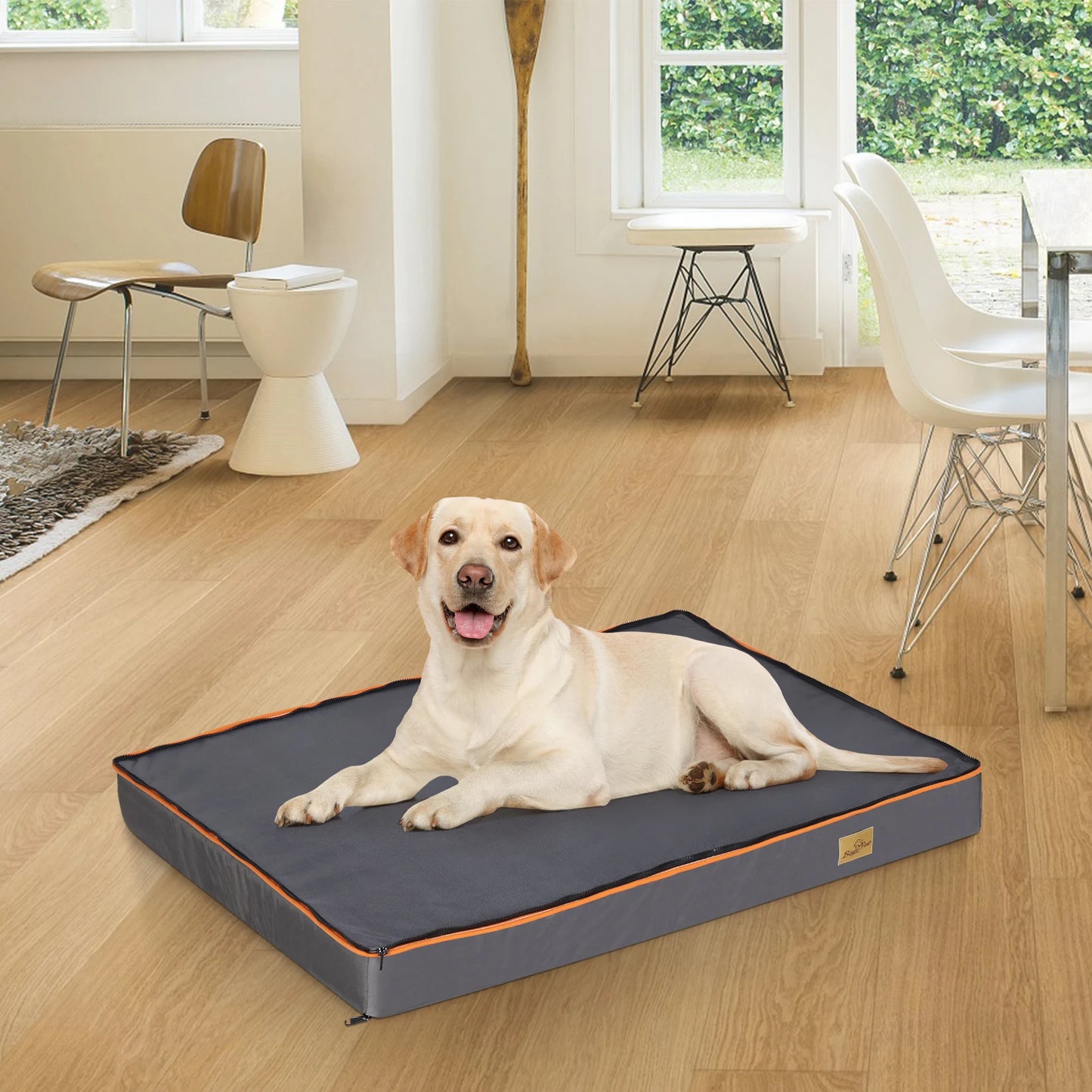 Orthopedic Dog Bed With Foam Cushion