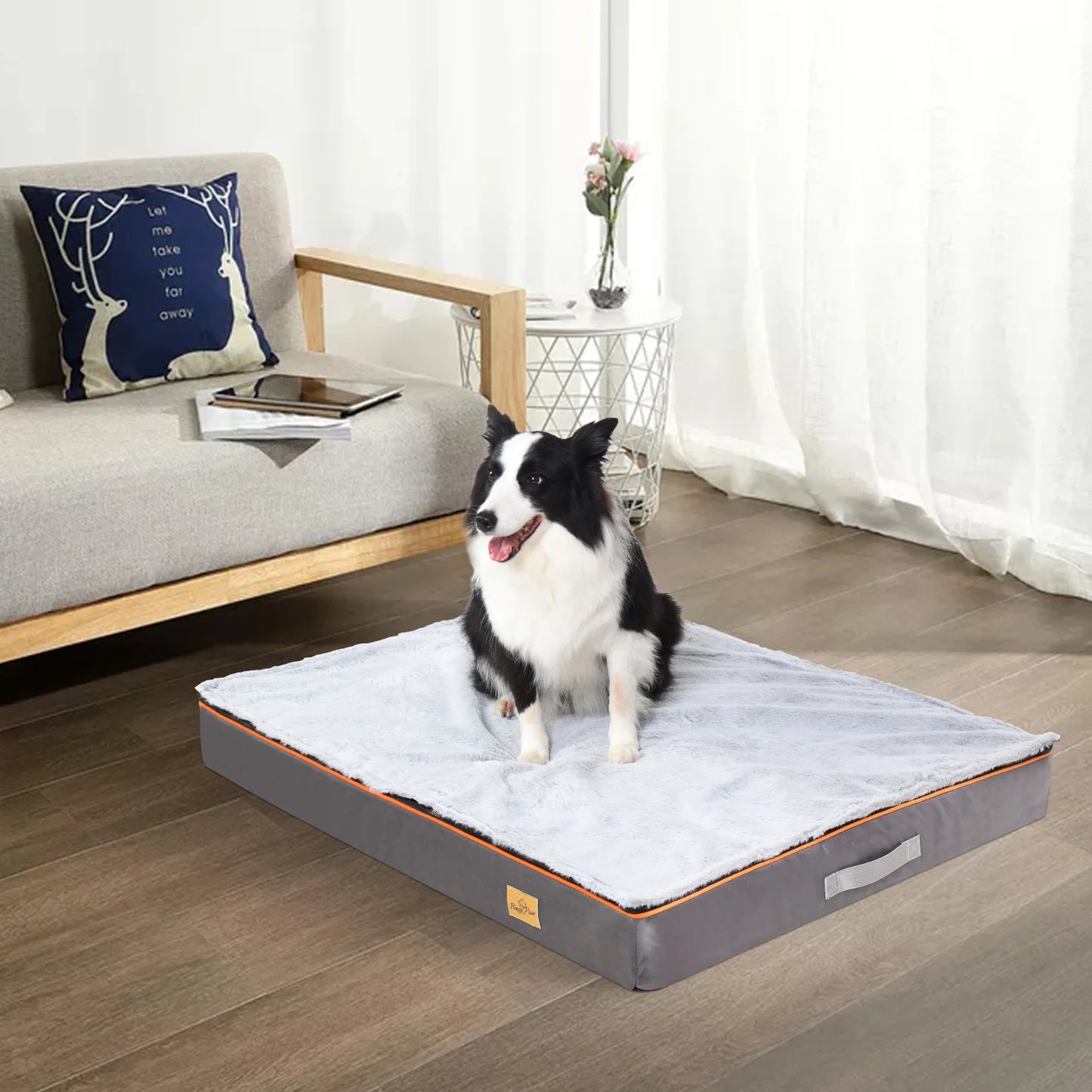 Orthopedic Dog Bed With Foam Cushion