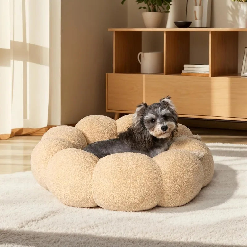 Calming Dog Beds For Cats And Dogs