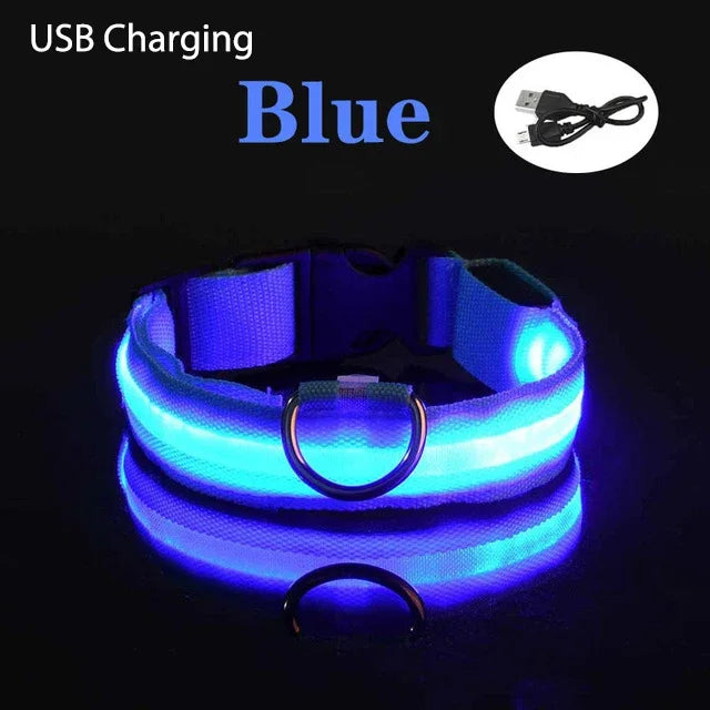 Dog Collar Light Up LED Collar Rechargeable