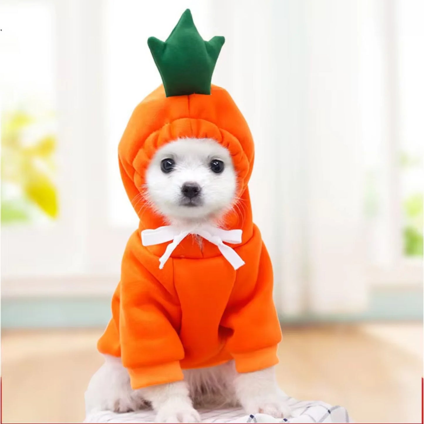 Pet Funny Winter Warm Clothes And Costumes