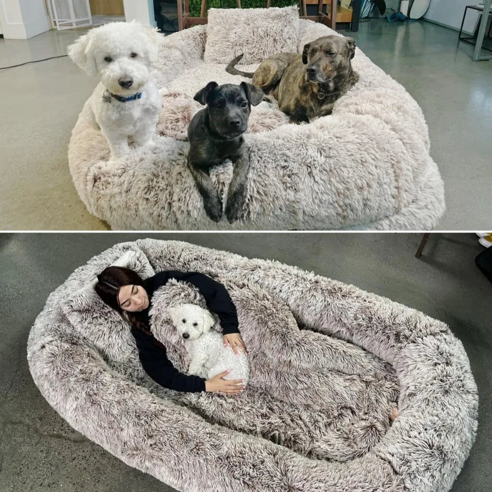 Human Dog Bed Extra Large Memory Foam