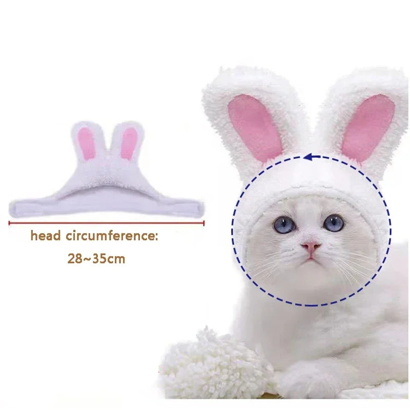 Pet Funny Cat Headgear Cute Rabbit Ears