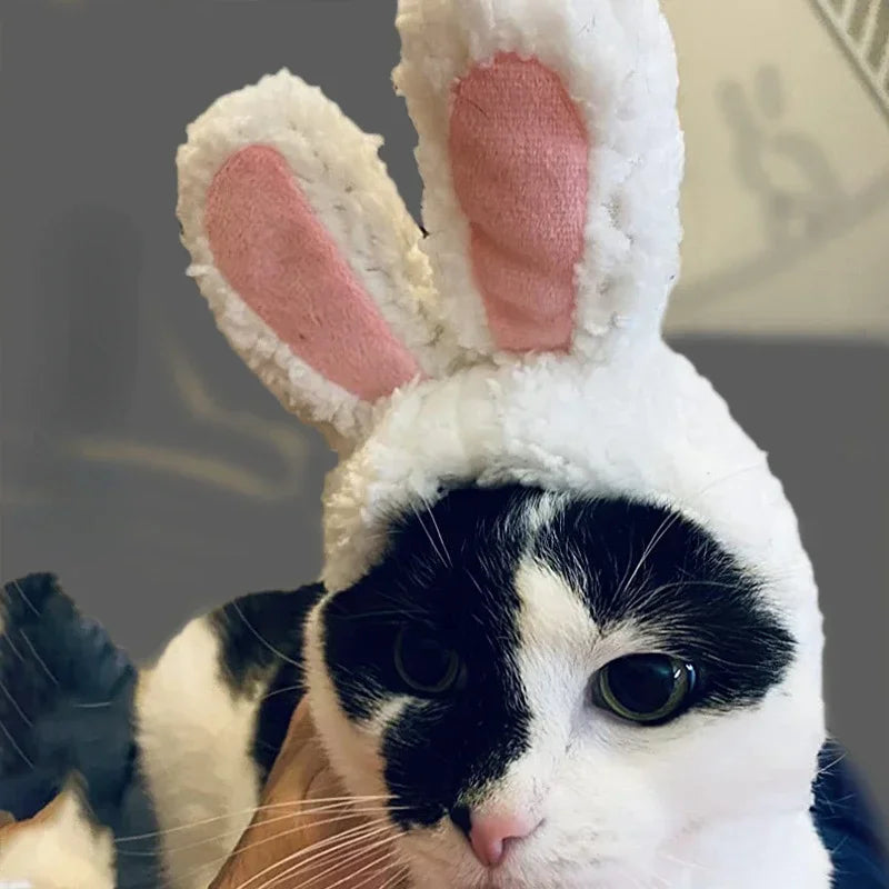 Pet Funny Cat Headgear Cute Rabbit Ears