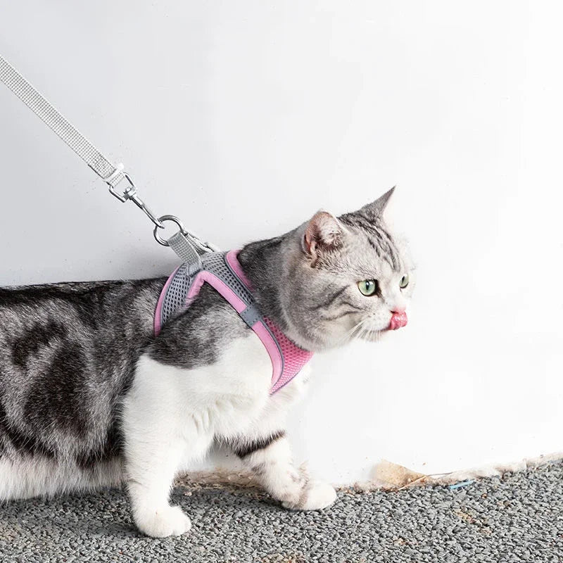 Pet Harness Leash For Dogs And Cats